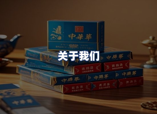 关于我们